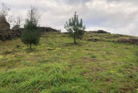 Cotobade 8000&nbsp;m²