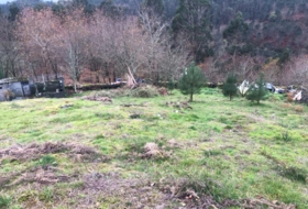 Cotobade 8000&nbsp;m²