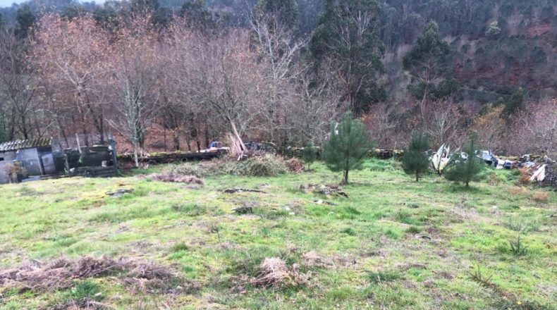 Pontevedra - Pontevedra - 8000m2