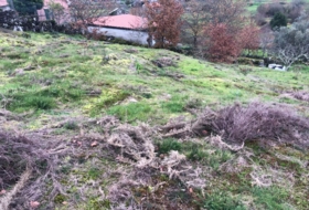 Cotobade 8000&nbsp;m²