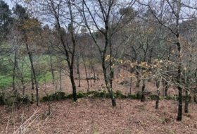 Cotobade 8000&nbsp;m²