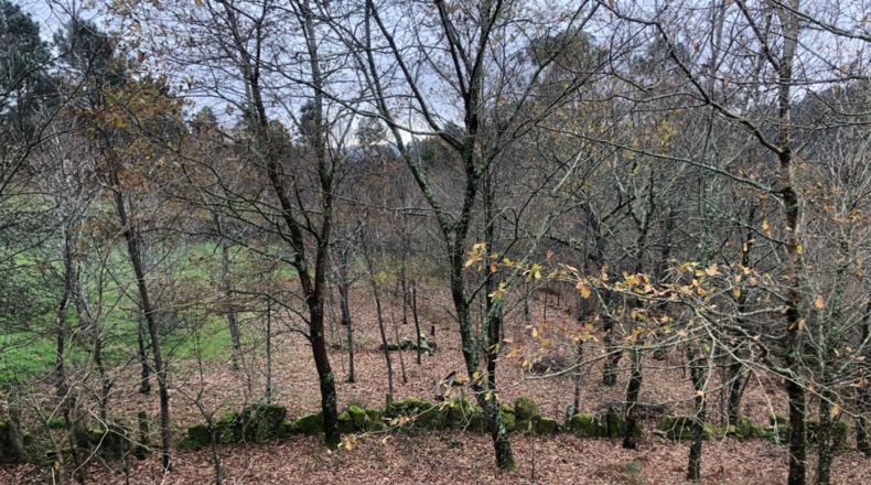 Pontevedra - Pontevedra - 8000m2