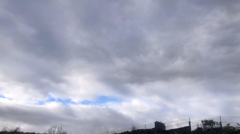 Pontevedra - Pontevedra - 8000m2
