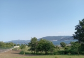 Non-developable land for sale in O Costal ref: TR99478 photo