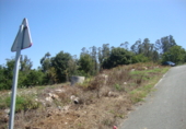 Non-developable land for sale in Pontevedra ref: TR99479 photo