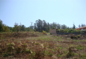 Non-developable land for sale in Pontevedra ref: TR99480 photo