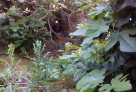 Cascajares de Bureba 400&nbsp;m² 