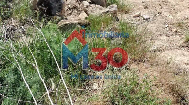 Burgos - Arce - 305m2