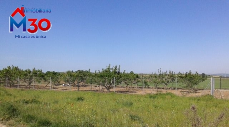 La Rioja - Casalarreina - 600m2