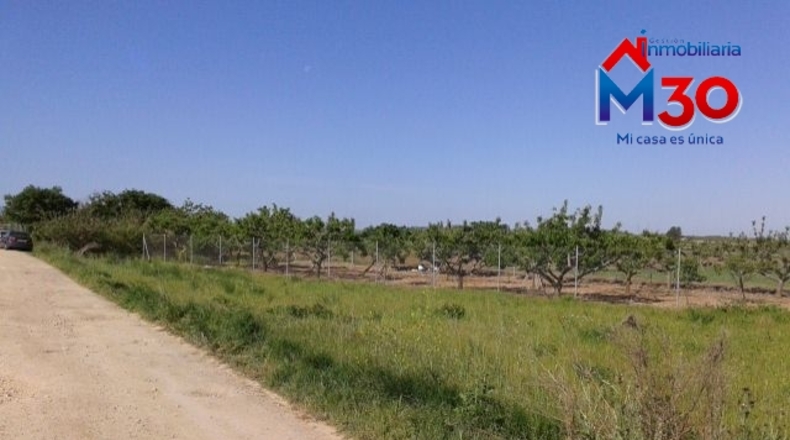 La Rioja - Casalarreina - 600m2