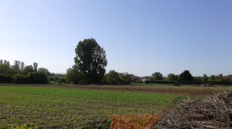 La Rioja - Casalarreina - 600m2
