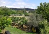 Finca rústica en venta en Pancorbo ref: TR20839 foto