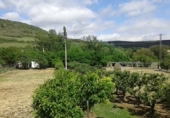 Finca rústica en venta en Pancorbo ref: TR20839 foto
