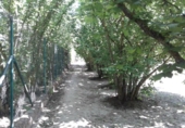 Finca rústica en venta en Pancorbo ref: TR20839 foto