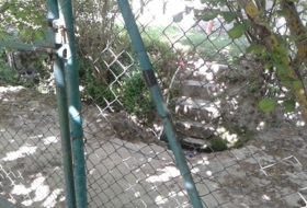 Foto 9