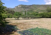 Finca rústica en venta en Pancorbo ref: TR20839 foto