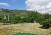 Finca rústica en venta en Pancorbo ref: TR20839 foto