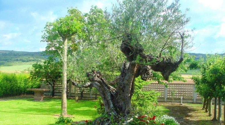 Álava - Berantevilla - 1100m2