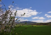 Detached villa with land for sale in Berantevilla ref: TR18851 photo