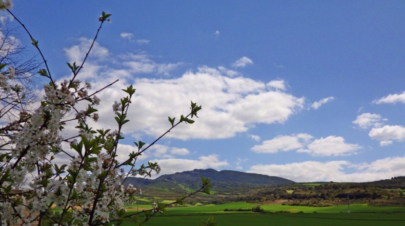 Álava - Berantevilla - 1100m2