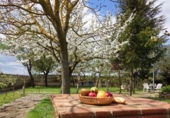 Detached villa with land for sale in Berantevilla ref: TR18851 photo