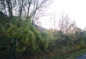 Terreno no urbanizable en venta en Peñacerrada ref: TR23224 foto