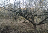 Terreno no urbanizable en venta en Peñacerrada ref: TR23224 foto