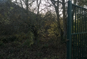 Foto 7