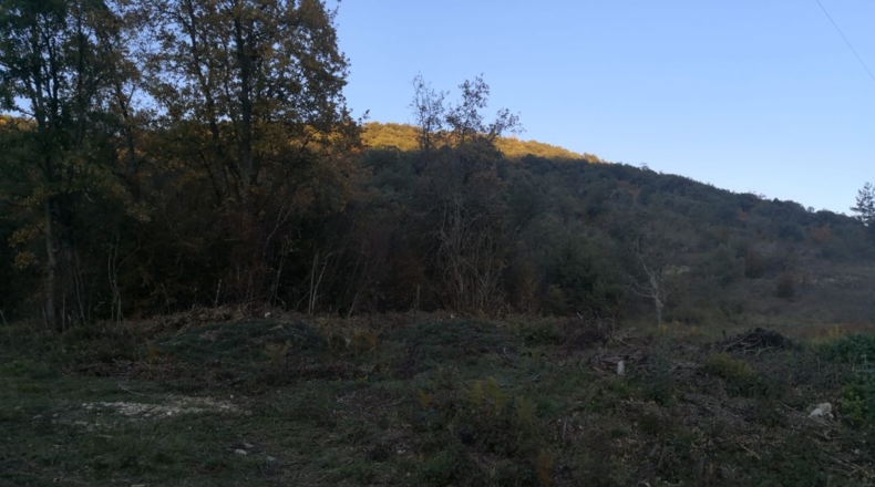 Álava - Peñacerrada - 4500m2