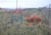 Промышленное здание на продажу в городе Briones. Фото