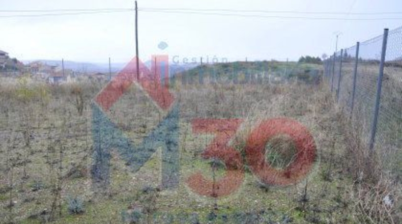 La Rioja - Briones - 1199m2