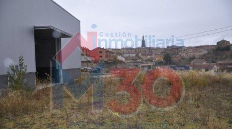 La Rioja - Briones - 1199m2