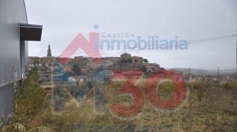 La Rioja - Briones - 1199m2
