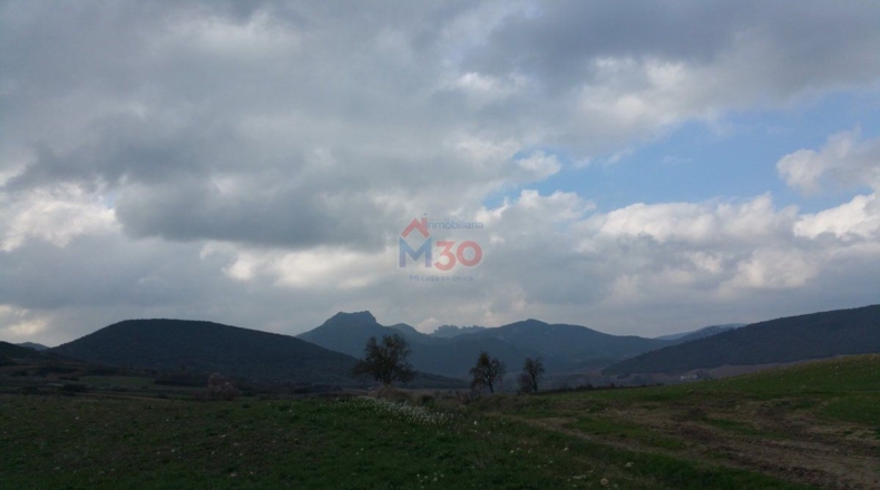 Burgos - Ircio - 11500m2