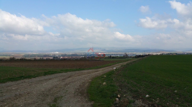 Burgos - Ircio - 11500m2