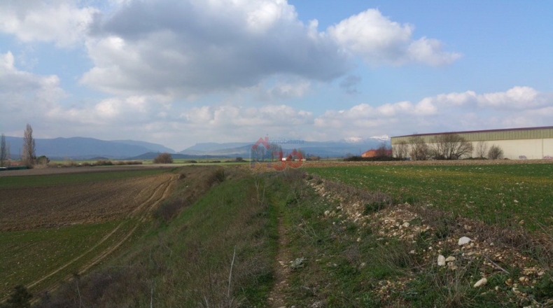 Burgos - Ircio - 11500m2