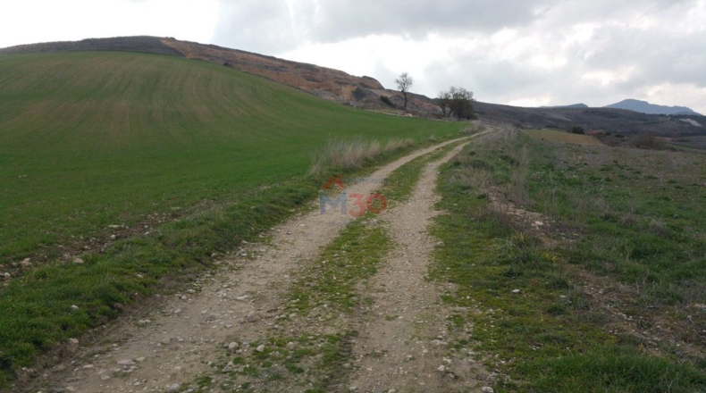 Burgos - Ircio - 11500m2