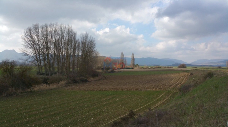 Burgos - Ircio - 11500m2