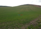 Non-developable land for sale in Miranda de Ebro ref: TR12240 photo