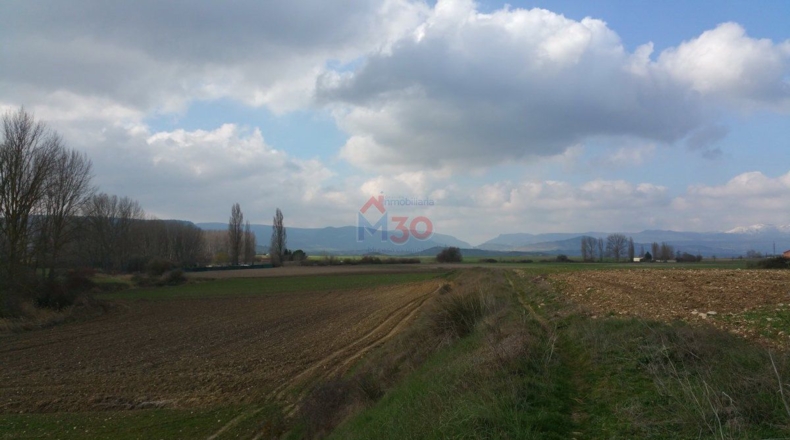 Burgos - Ircio - 11500m2