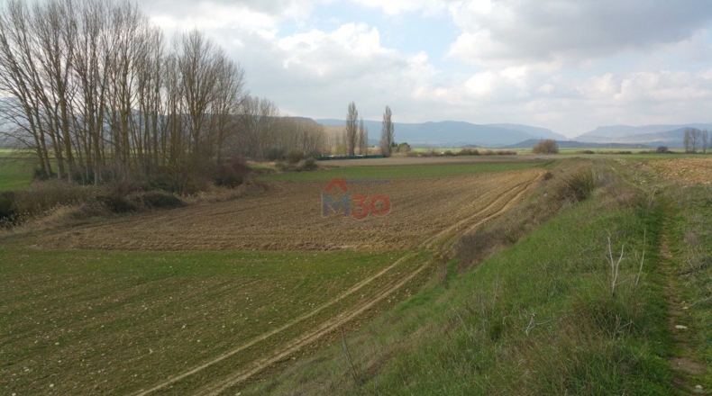 Burgos - Ircio - 11500m2