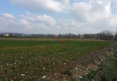 Non-developable land for sale in Miranda de Ebro ref: TR12240 photo