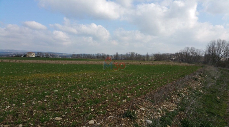 Burgos - Ircio - 11500m2