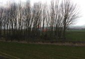 Non-developable land for sale in Miranda de Ebro ref: TR12240 photo
