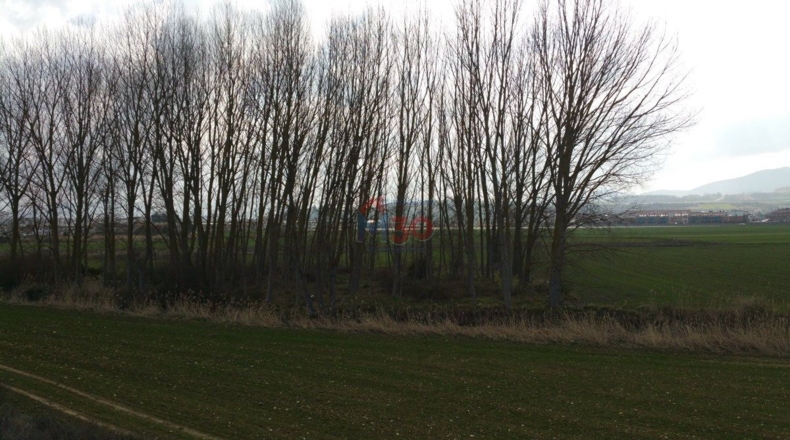 Burgos - Ircio - 11500m2