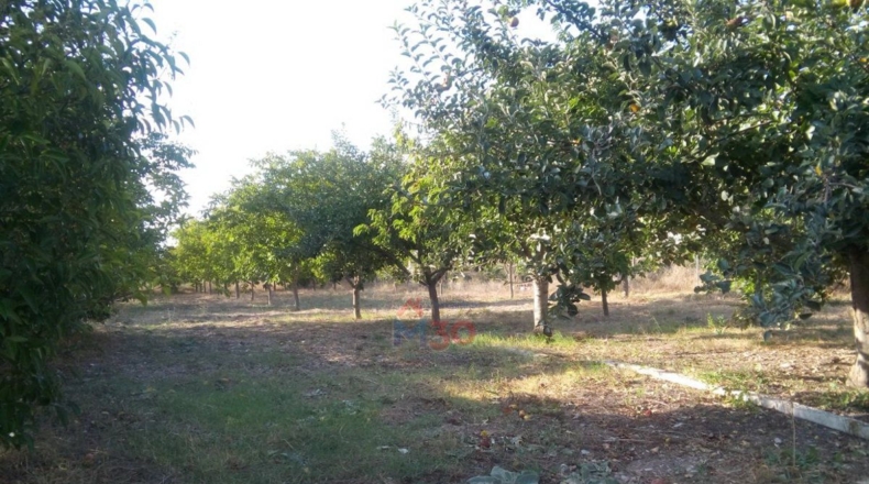 Álava - Portilla - 2864m2