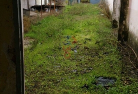 Foto 17