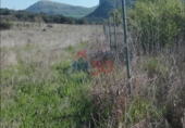 Non-developable land for sale in Burgos ref: TR21831 photo