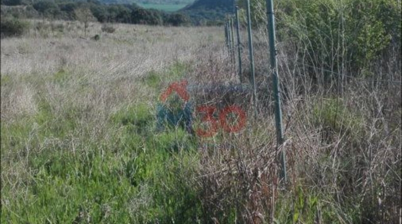 Burgos - Burgos - 3600m2