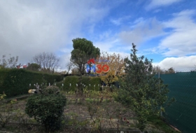 Miranda de Ebro 500&nbsp;m² 